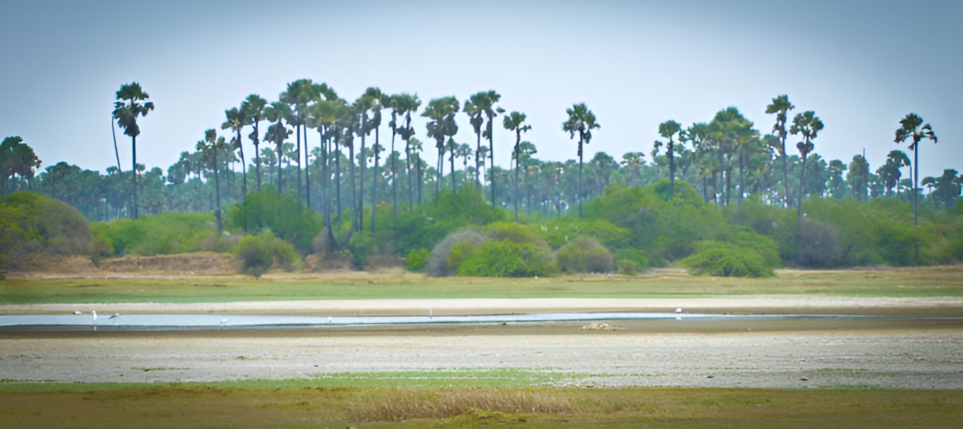 South West Naranthanai Border — தென்மேற்கு எல்லை